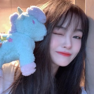 复仇狗联盟
